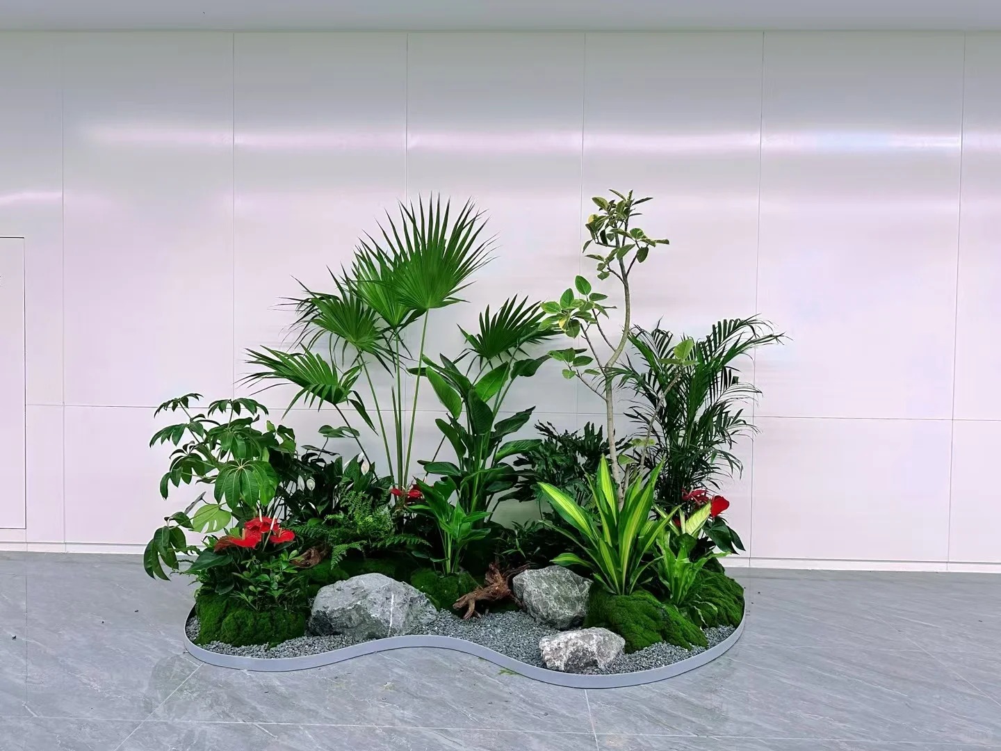 专业前湾盆景租赁，给空间增添别样生机